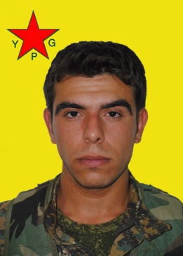 OMER QAMIŞLO