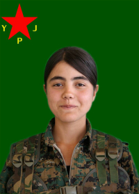 ŞÎNDAR BOTAN