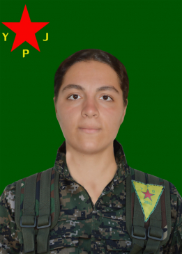 DELÎLA ŞÎMAL