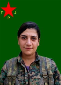 AMARA EFRİN