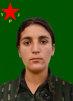 AVÎNAR BOTAN