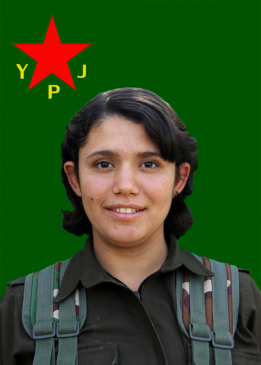DOZA BERXWEDAN