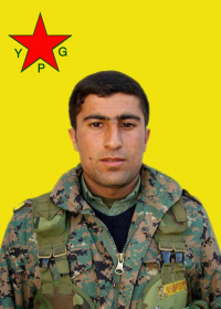 RÊNAS QAMIŞLO