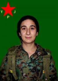 AVAŞİN DUNYA