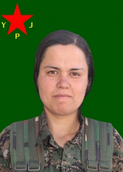 BERÇEM AMED