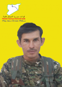 QEDAFÎ ŞEDADÊ