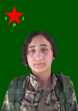 ZEHRA REQA