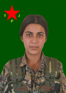 JIYAN TOLHILDAN