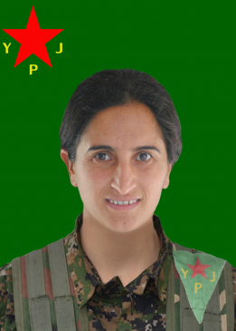 NÛJIYAN SARÎNA