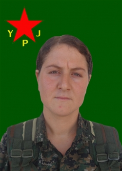 BÊRÎTAN DERSIM