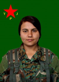 DELAL QOSER