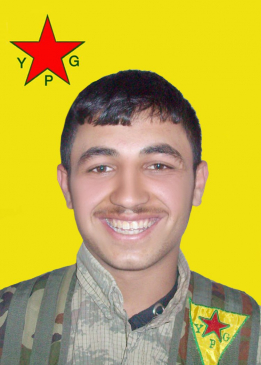 BERXWEDAN QAMIŞLO