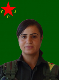 DÎDAR WELAT