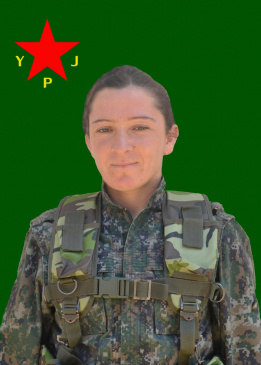 PEYMAN KOBANÊ