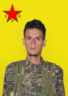 ELÎŞER ŞEDADE