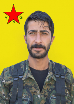 DENÎZ ŞİRVAN PARAST