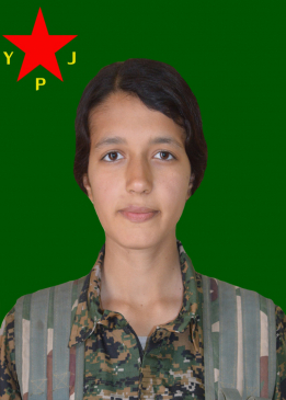 NÛJÎN AMED