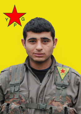 AGIR TEKOŞÎN