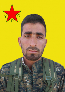 D&Icirc;BO HESEK&Ecirc;