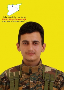 BERXWEDAN QAMIŞLO