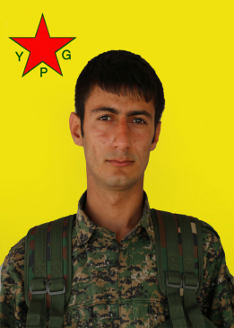 DILŞAD HEREKOL
