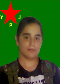 NEWROZ QAMIŞLO