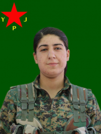 KANÎ DENÎZ
