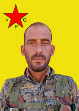 DEL&Icirc;L ŞEDADE