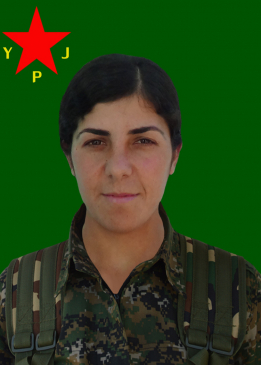 ŞÊRÎN NEJBÎR