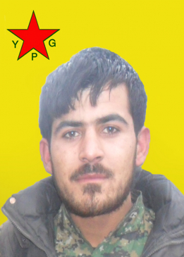 DENÎZ KOBANÊ