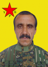 HARUN YAMAN