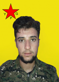 DILŞER ŞEDADÊ