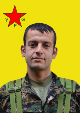 &Ccedil;EKDAR AMED