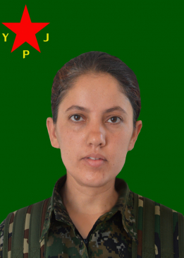 DOZA JIYAN