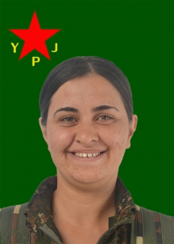 ARJİN AMED