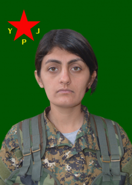 DELÎLA ARARAT