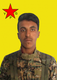 DIJWAR ŞEDADÊ