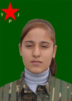BÊRÎTAN GAP