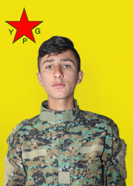 JIYAN HESEKÊ