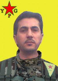 ŞEVGER QAMIŞLO