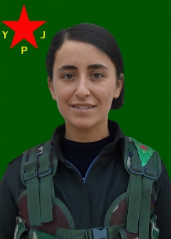 BERÇEM DELAL AMED