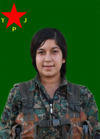 VEJÎN ELÎŞÊR