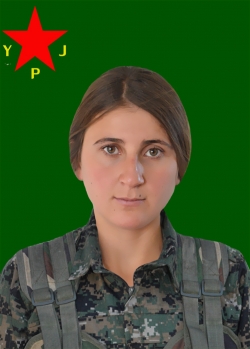 ARARAT BAZÎD
