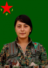 BIŞENG ROJ