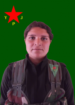 ROZA KOBANÊ