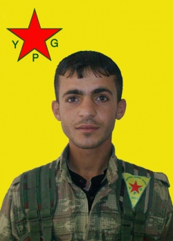 BAHOZ QAMIŞLO