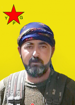 RÊNAS QAMIŞLO