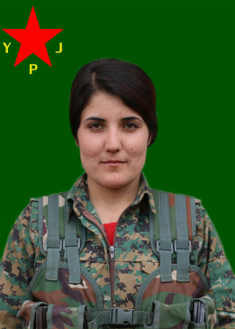 CUD&Icirc; ŞENGAL
