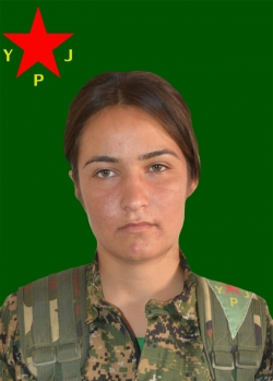 BIHAR GIRÊSPÎ