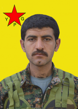 BERXWEDAN AMED